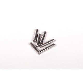 Stifte 2x10mm (6)